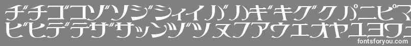Littrg-Schriftart – Weiße Schriften auf grauem Hintergrund