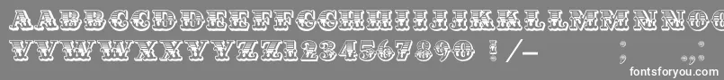 Cashcapitalc Font – White Fonts on Gray Background