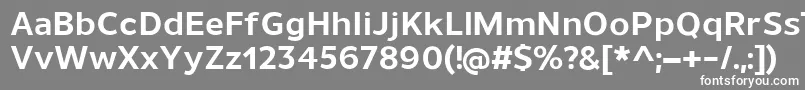 フォントUnimanBold – 灰色の背景に白い文字