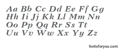 KudrashovcBolditalic Font