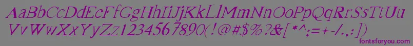 FranktimesItalic-Schriftart – Violette Schriften auf grauem Hintergrund