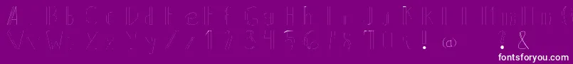 Backline Font – White Fonts on Purple Background