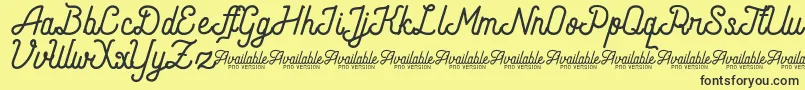 AndaraScriptDemo Font – Black Fonts on Yellow Background