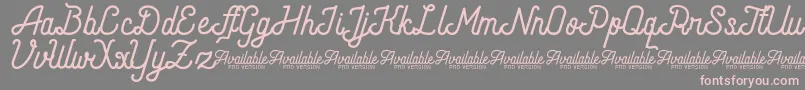 AndaraScriptDemo-Schriftart – Rosa Schriften auf grauem Hintergrund