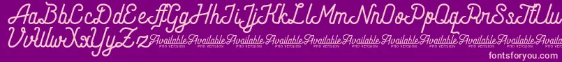 AndaraScriptDemo Font – Pink Fonts on Purple Background