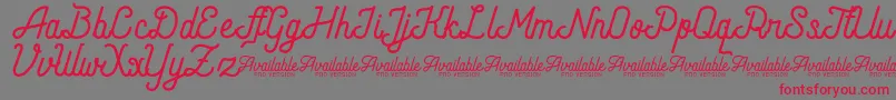 AndaraScriptDemo Font – Red Fonts on Gray Background