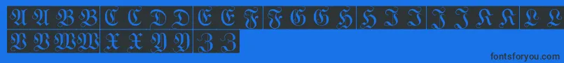 WittewittmajusclesFlourishbricks Font – Black Fonts on Blue Background