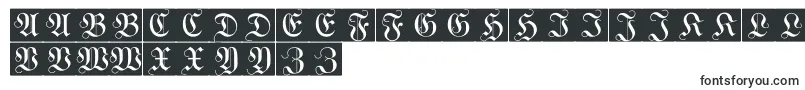 WittewittmajusclesFlourishbricks Font – Fonts Starting with W