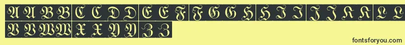 WittewittmajusclesFlourishbricks Font – Black Fonts on Yellow Background