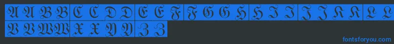 WittewittmajusclesFlourishbricks Font – Blue Fonts on Black Background
