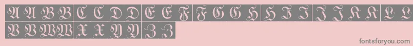 WittewittmajusclesFlourishbricks Font – Gray Fonts on Pink Background