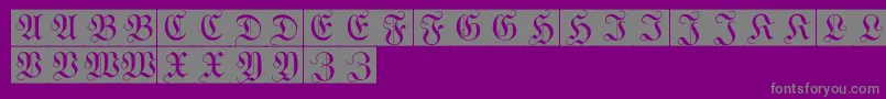 WittewittmajusclesFlourishbricks Font – Gray Fonts on Purple Background
