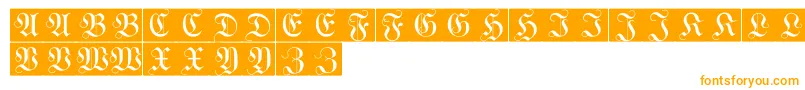 WittewittmajusclesFlourishbricks Font – Orange Fonts