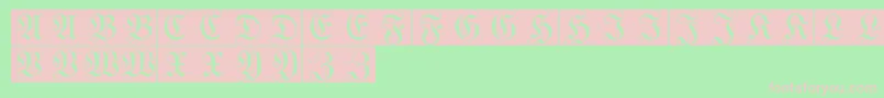 WittewittmajusclesFlourishbricks Font – Pink Fonts on Green Background