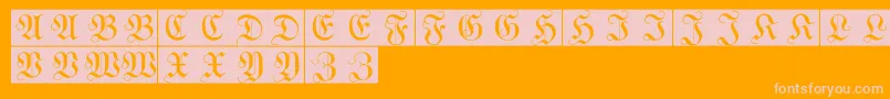 WittewittmajusclesFlourishbricks Font – Pink Fonts on Orange Background