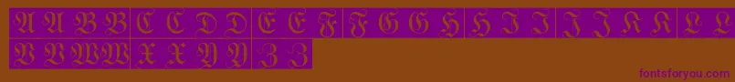 WittewittmajusclesFlourishbricks Font – Purple Fonts on Brown Background