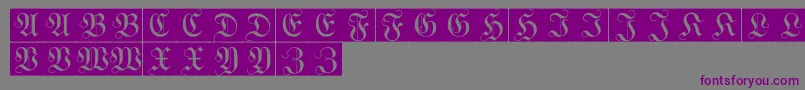 WittewittmajusclesFlourishbricks Font – Purple Fonts on Gray Background