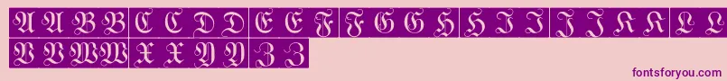 WittewittmajusclesFlourishbricks Font – Purple Fonts on Pink Background