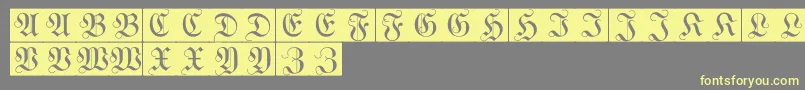 WittewittmajusclesFlourishbricks Font – Yellow Fonts on Gray Background