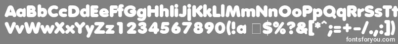 AnjaElianeAccent002 Font – White Fonts on Gray Background