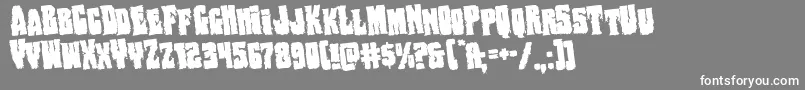 Bogbeastrotate Font – White Fonts on Gray Background