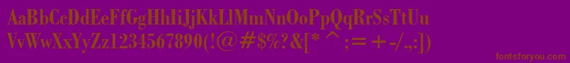 BodoniBoldCondensedBt Font – Brown Fonts on Purple Background