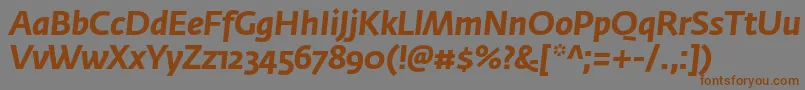 More about FedrasansproBolditalic Font FedrasansproBolditalic Font – Brown Fonts on Gray Background