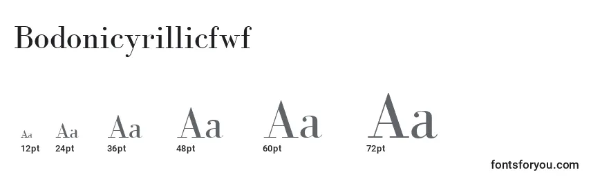 Размеры шрифта Bodonicyrillicfwf