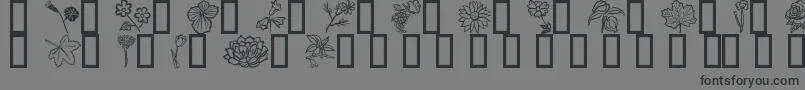 Fleurs6 Font – Black Fonts on Gray Background