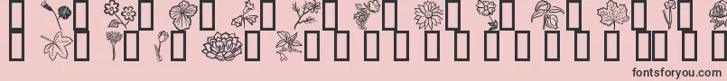 En savoir plus sur la police Fleurs6 Police Fleurs6 – polices noires sur fond rose