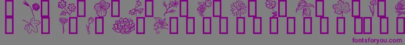 Czcionka Fleurs6 – fioletowe czcionki na szarym tle
