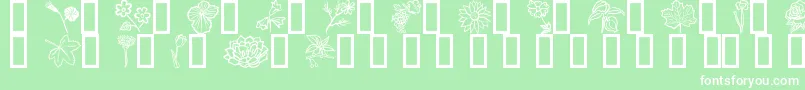 Fleurs6 Font – White Fonts on Green Background