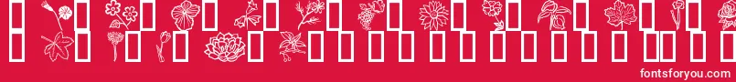 フォントFleurs6 – 赤い背景に白い文字