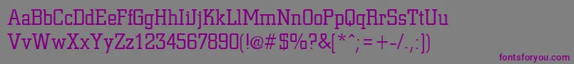 Шрифт CivicRegular – фиолетовые шрифты на сером фоне