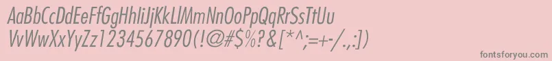 BelmarCondensedlightItalic Font – Gray Fonts on Pink Background