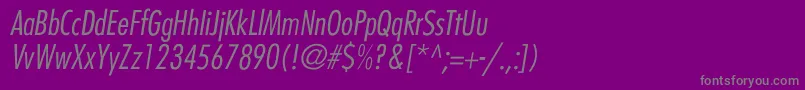 BelmarCondensedlightItalic Font – Gray Fonts on Purple Background