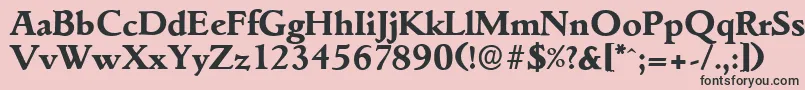 フォントGouditaserialXboldRegular – ピンクの背景に黒い文字