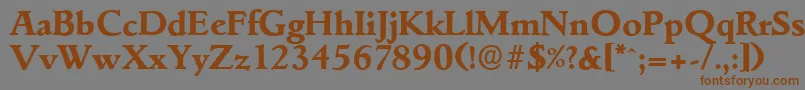 GouditaserialXboldRegular Font – Brown Fonts on Gray Background