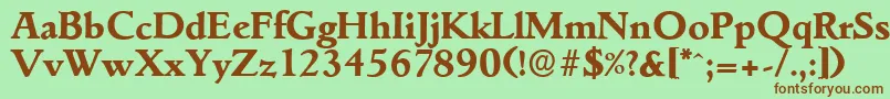 GouditaserialXboldRegular Font – Brown Fonts on Green Background