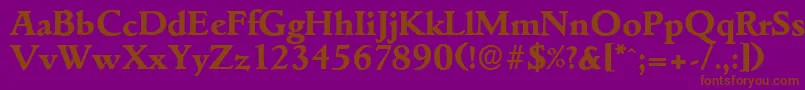 フォントGouditaserialXboldRegular – 紫色の背景に茶色のフォント