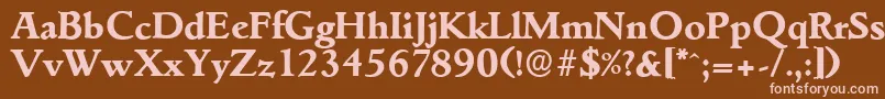 GouditaserialXboldRegular Font – Pink Fonts on Brown Background