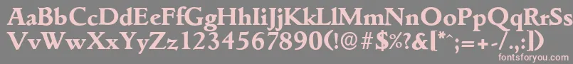 GouditaserialXboldRegular-Schriftart – Rosa Schriften auf grauem Hintergrund