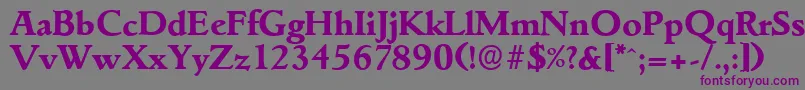 GouditaserialXboldRegular Font – Purple Fonts on Gray Background