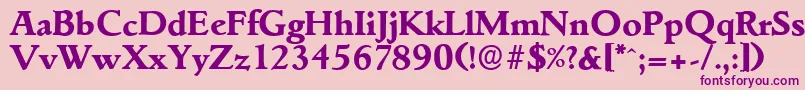 GouditaserialXboldRegular Font – Purple Fonts on Pink Background
