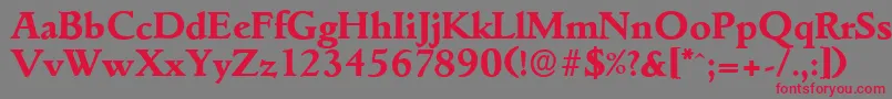 GouditaserialXboldRegular Font – Red Fonts on Gray Background