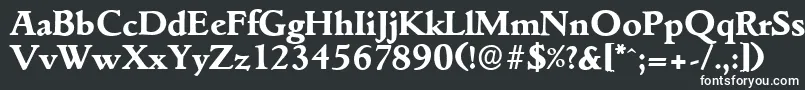 フォントGouditaserialXboldRegular – 黒い背景に白い文字