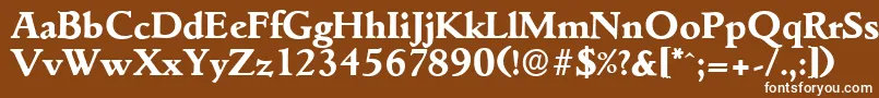 フォントGouditaserialXboldRegular – 茶色の背景に白い文字