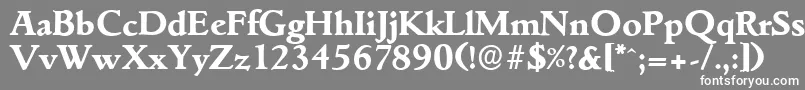 フォントGouditaserialXboldRegular – 灰色の背景に白い文字