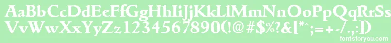 GouditaserialXboldRegular Font – White Fonts on Green Background