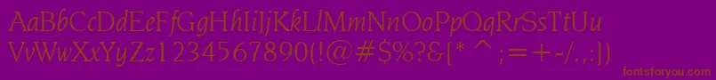 NovareseBookItalicBt Font – Brown Fonts on Purple Background